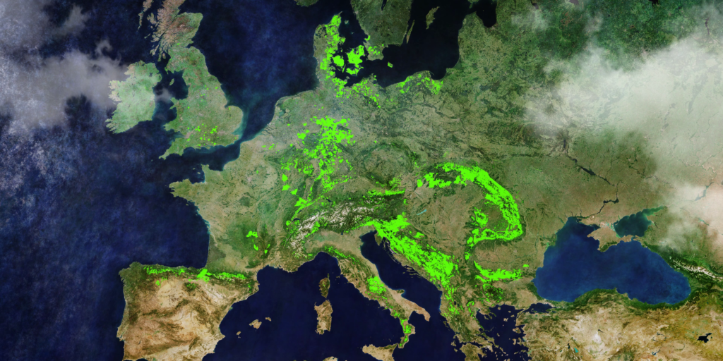 Map: Europe's current beech occurrence