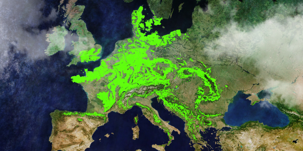 Karte: Europas historische Buchenvorkommen - nach der letzten Eiszeit