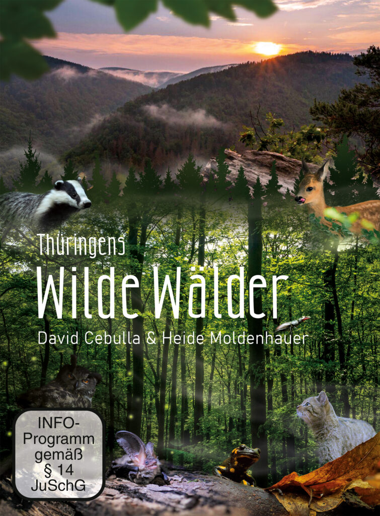 Filmposter "Wilde Wälder" | David Cebulla Naturfilme